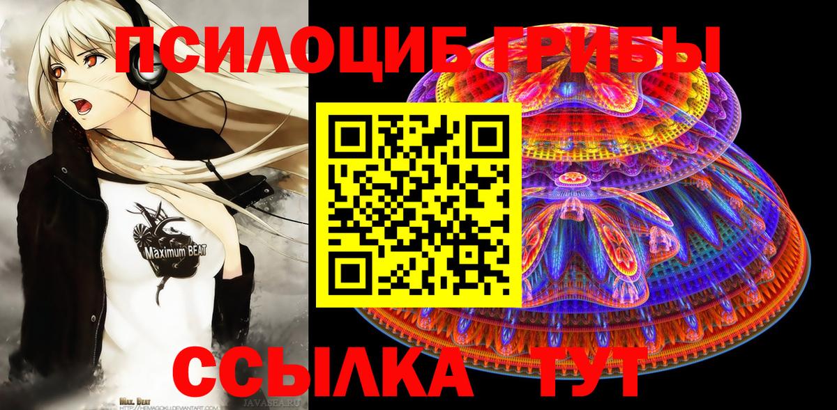 Галлюциногенные грибы Psilocybine cubensis Углич