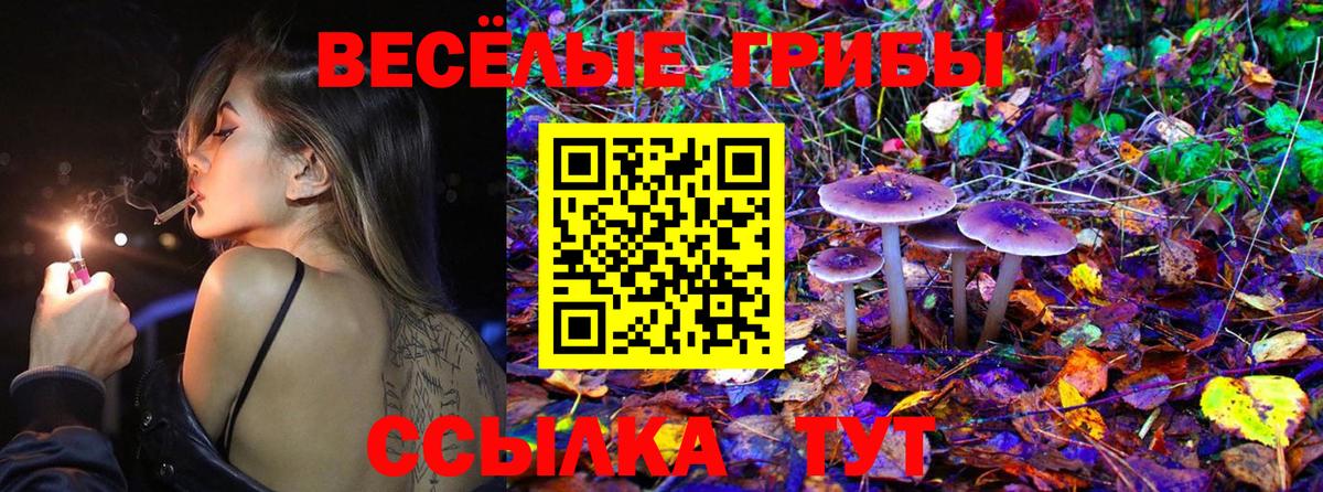 Галлюциногенные грибы Cubensis  Псилоцибиновые грибы ЛСД  Углич  Вход с VPN 