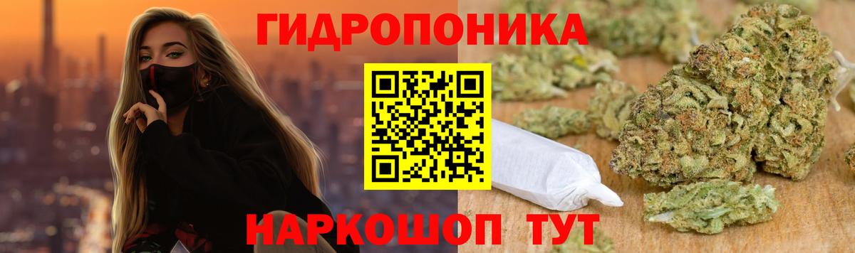 МАРИХУАНА гибрид Углич